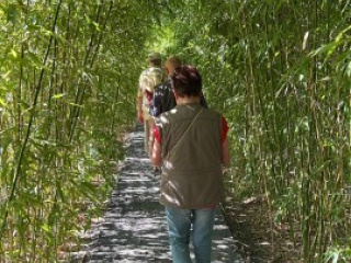 20230928_Gaerten-der-Welt (14)
